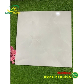 Gạch 50x50 ĐPL50004