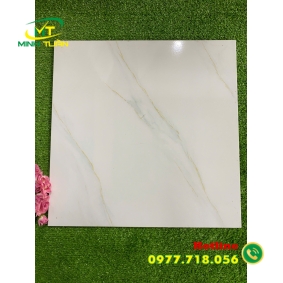 Gạch 50x50 ĐPL502