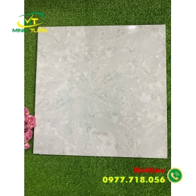 Gạch 50x50 ĐPL505