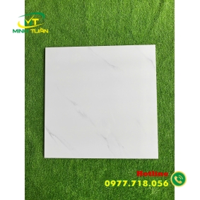 Gạch đá bóng kính 60x60 NB6602
