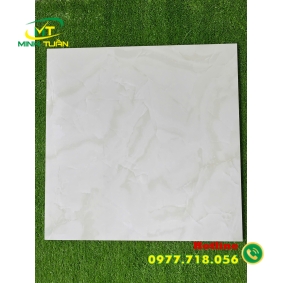 Gạch đá bóng kính 60x60 NB6608