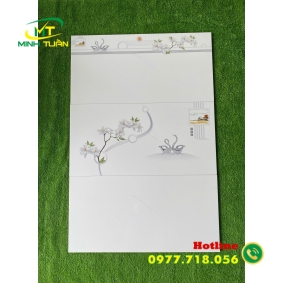 Gạch ốp tường 40x80 HK4065