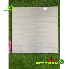 Gạch 50x50 HP5DHP58