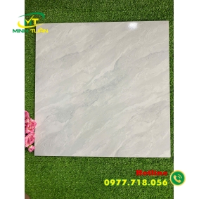 Gạch 50x50 HP5DHP61