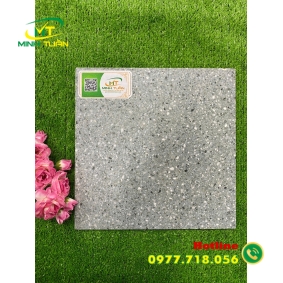 Gạch 30x30 HPD3050