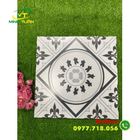 Gạch 30x30 CAGB3005