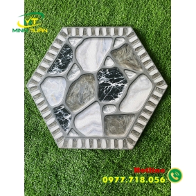 Gạch Lục giác CA9311