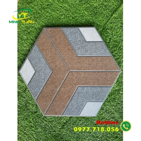 Gạch Lục giác CA9312