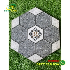 Gạch Lục giác CA9319