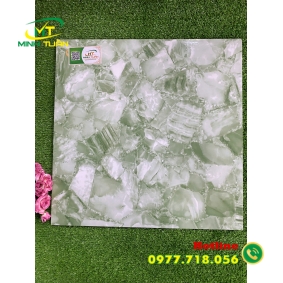 Gạch 50x50 MHKE50269G