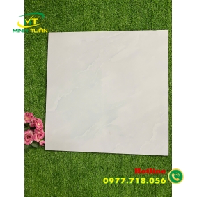 Gạch 50x50 ML6KS5155