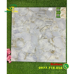 Gạch 50x50 MT5005