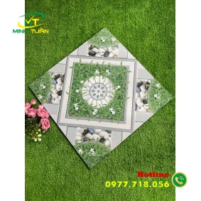 Gạch 50x50 NBD5108