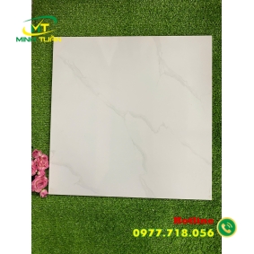 Gạch 50x50 NHGP5502