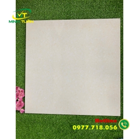 Gạch 50x50 NHGP5504