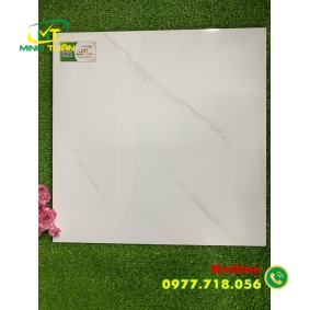 Gạch 50x50 NHTE52