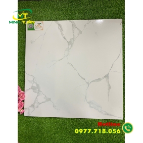 Gạch 50x50 NK572