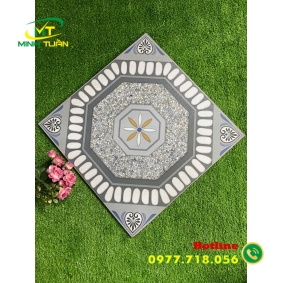 Gạch 50x50 NP5501