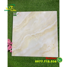 Gạch 50x50 PLGK5112