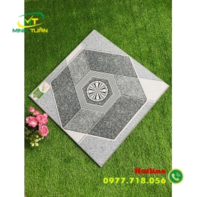 Gạch 50x50 SBBHP5507