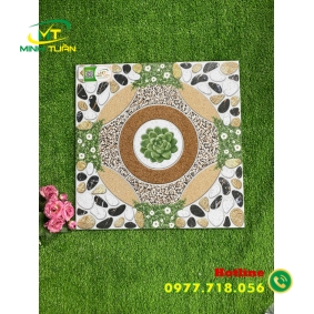 Gạch 50x50 SBBHP5508