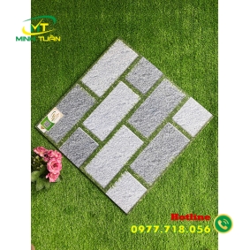 Gạch 50x50 SBBHP5510