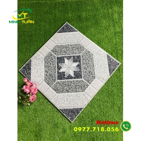 Gạch 50x50 SBBML5506