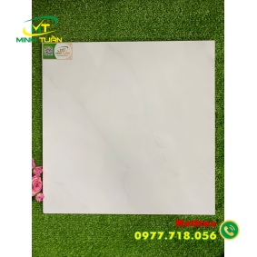 Gạch 50x50 THPWGHC5005