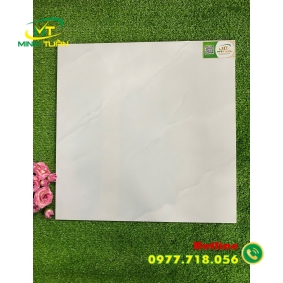 Gạch 50x50 THPWGHC5010