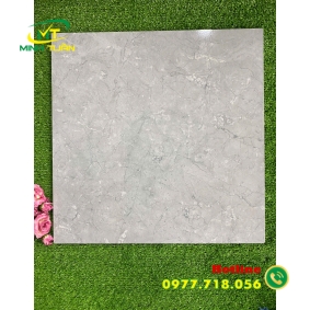 Gạch 50x50 TKH1013