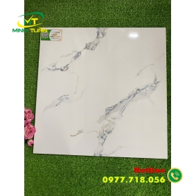 Gạch 50x50 TMLF5401