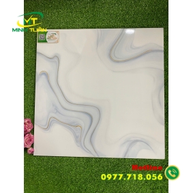 Gạch 50x50 TMLF5405