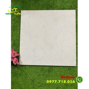 Gạch 50x50 TP