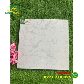 Gạch 40x40 TP40027