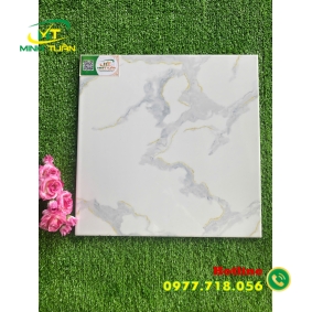 Gạch 40x40 TP4403