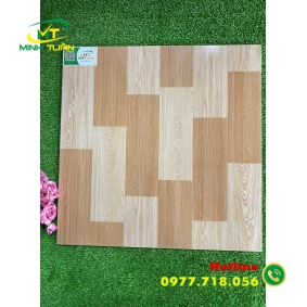 Gạch 50x50 TPKTS5056