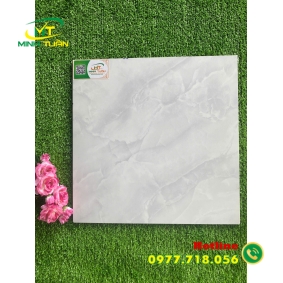 Gạch 40x40 TPN042
