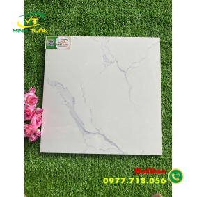Gạch 40x40 TPN049