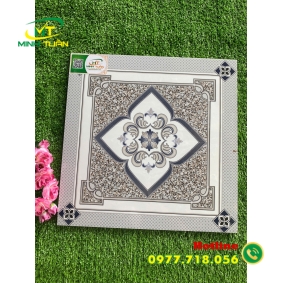 Gạch 40x40 TPN050