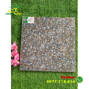 Gạch 40x40 TPN051