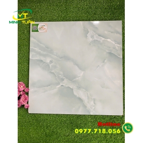 Gạch 50x50 TPSA5005