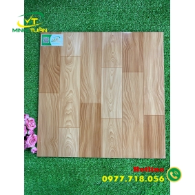 Gạch 50x50 TPSA5008