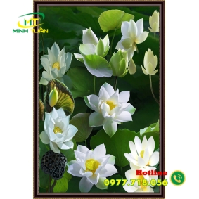 Tranh phong cảnh 64