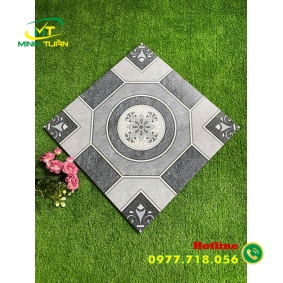 Gạch 50x50 TT35105