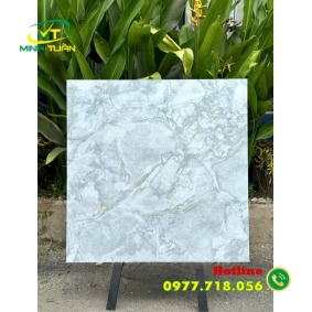 Gạch 80x80 TT58902