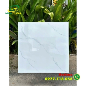 Gạch 80x80 TT58904