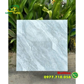 Gạch 80x80 TT58905
