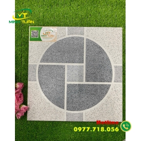 Gạch 30x30 TTP303