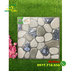Gạch 30x30 TTT3302
