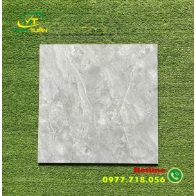 Gạch 50x50 6KS5154